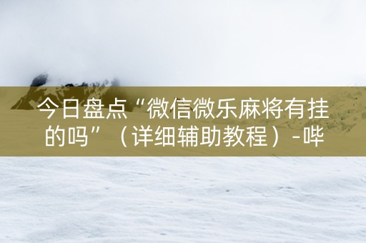今日盘点“微信微乐麻将有挂的吗”（详细辅助教程）-哔哩哔哩