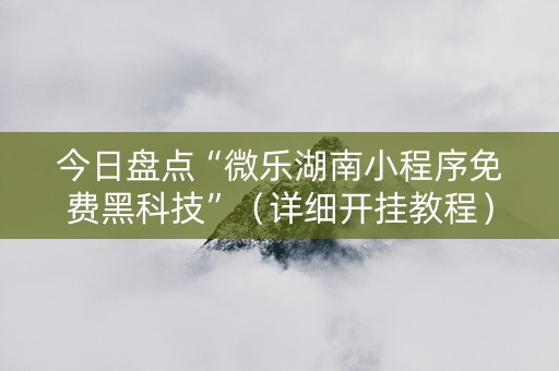 今日盘点“微乐湖南小程序免费黑科技”（详细开挂教程）-哔哩哔哩
