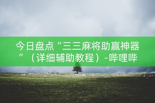 今日盘点“三三麻将助赢神器”（详细辅助教程）-哔哩哔哩