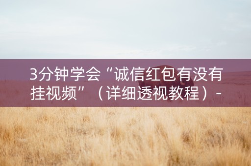 3分钟学会“诚信红包有没有挂视频”（详细透视教程）-哔哩哔哩