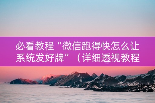 必看教程“微信跑得快怎么让系统发好牌”（详细透视教程）-哔哩哔哩