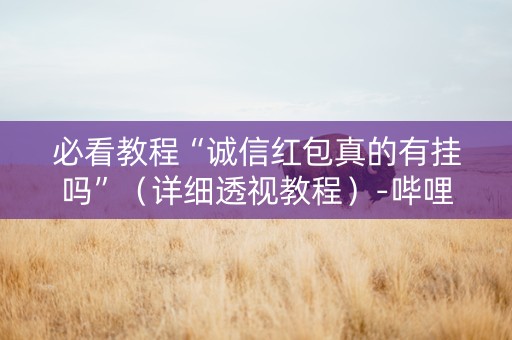 必看教程“诚信红包真的有挂吗”（详细透视教程）-哔哩哔哩