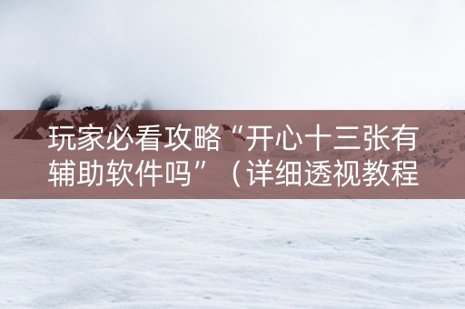 玩家必看攻略“开心十三张有辅助软件吗”（详细透视教程）-哔哩哔哩