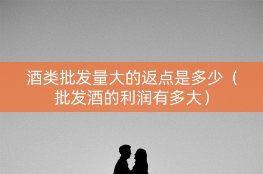 酒类批发量大的返点是多少（批发酒的利润有多大）