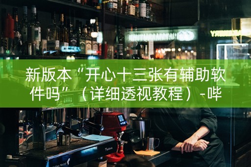 新版本“开心十三张有辅助软件吗”（详细透视教程）-哔哩哔哩