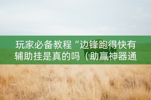 玩家必备教程“边锋跑得快有辅助挂是真的吗（助赢神器通用版）