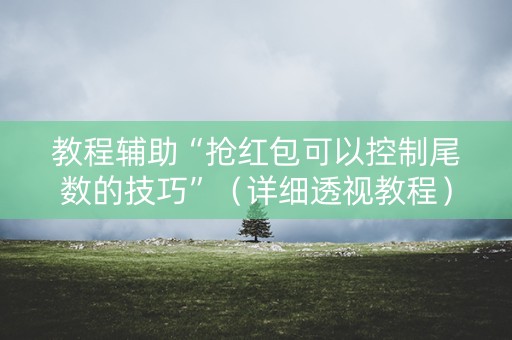 教程辅助“抢红包可以控制尾数的技巧”（详细透视教程）-哔哩哔哩