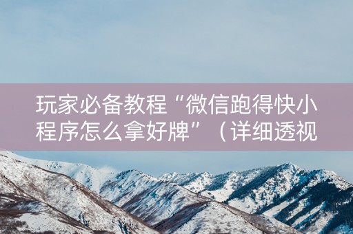 玩家必备教程“微信跑得快小程序怎么拿好牌”（详细透视教程）-哔哩哔哩