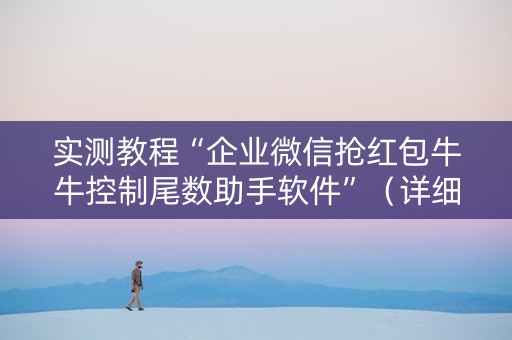 实测教程“企业微信抢红包牛牛控制尾数助手软件”（详细透视教程）-哔哩哔哩