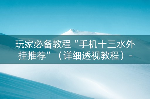 玩家必备教程“手机十三水外挂推荐”（详细透视教程）-哔哩哔哩
