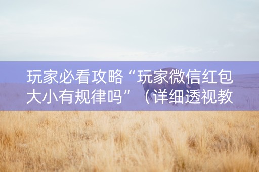 玩家必看攻略“玩家微信红包大小有规律吗”（详细透视教程）-哔哩哔哩