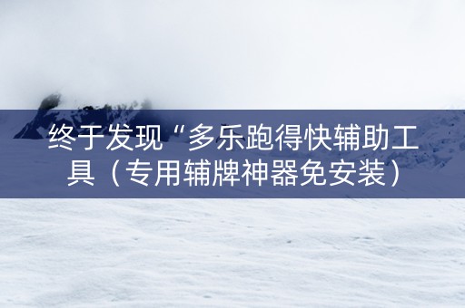 终于发现“多乐跑得快辅助工具（专用辅牌神器免安装）