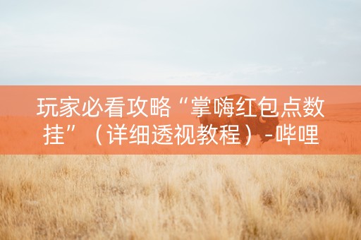 玩家必看攻略“掌嗨红包点数挂”（详细透视教程）-哔哩哔哩