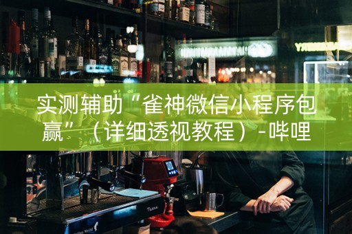 实测辅助“雀神微信小程序包赢”（详细透视教程）-哔哩哔哩