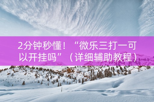 2分钟秒懂！“微乐三打一可以开挂吗”（详细辅助教程）-哔哩哔哩