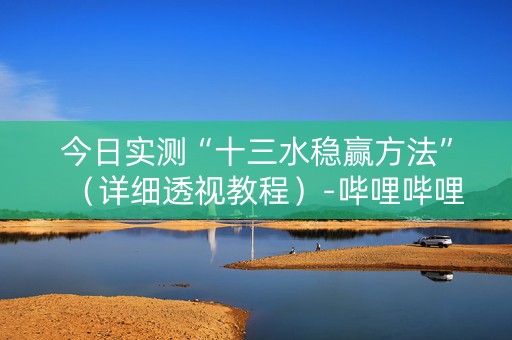 今日实测“十三水稳赢方法”（详细透视教程）-哔哩哔哩