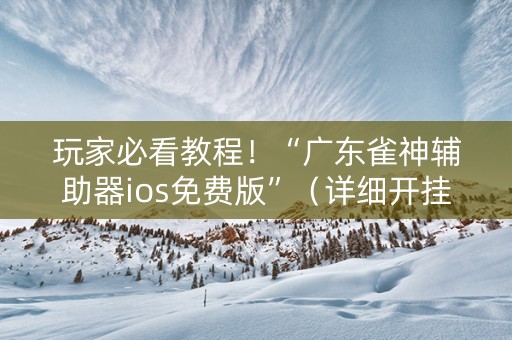 玩家必看教程！“广东雀神辅助器ios免费版”（详细开挂教程）-哔哩哔哩