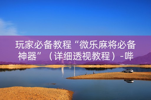 玩家必备教程“微乐麻将必备神器”（详细透视教程）-哔哩哔哩
