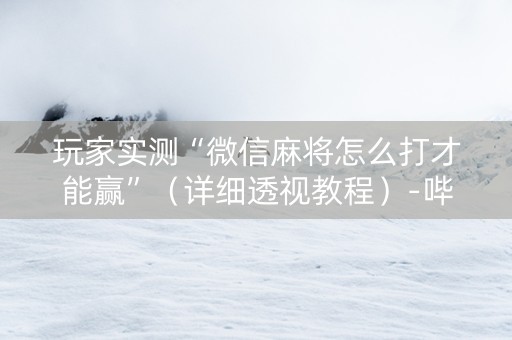玩家实测“微信麻将怎么打才能赢”（详细透视教程）-哔哩哔哩