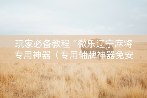 玩家必备教程“微乐辽宁麻将专用神器（专用辅牌神器免安装）