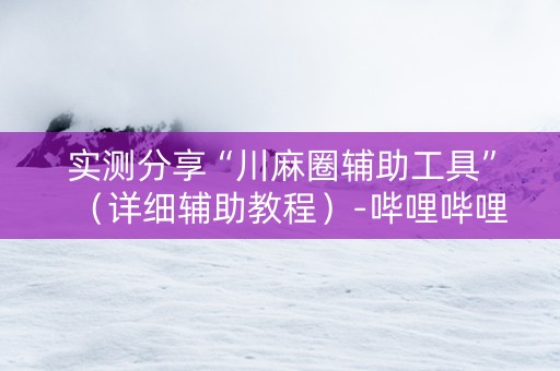 实测分享“川麻圈辅助工具”（详细辅助教程）-哔哩哔哩