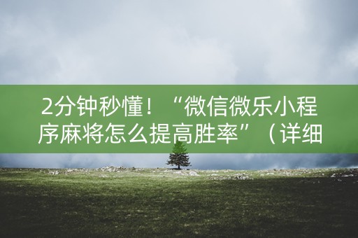 2分钟秒懂！“微信微乐小程序麻将怎么提高胜率”（详细辅助教程）-哔哩哔哩