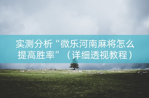 实测分析“微乐河南麻将怎么提高胜率”（详细透视教程）-哔哩哔哩