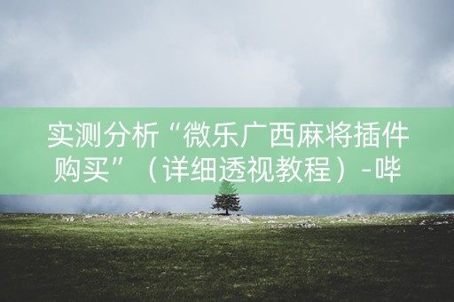 实测分析“微乐广西麻将插件购买”（详细透视教程）-哔哩哔哩