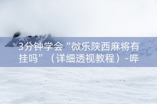 3分钟学会“微乐陕西麻将有挂吗”（详细透视教程）-哔哩哔哩