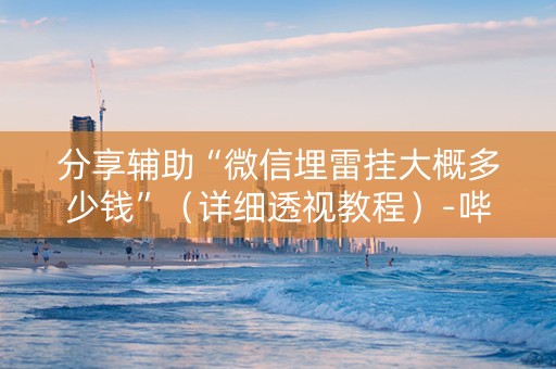 分享辅助“微信埋雷挂大概多少钱”（详细透视教程）-哔哩哔哩