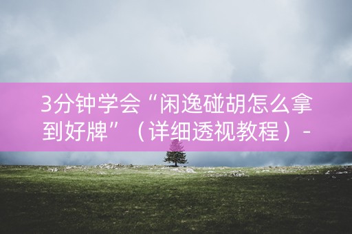 3分钟学会“闲逸碰胡怎么拿到好牌”（详细透视教程）-哔哩哔哩