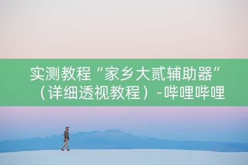 实测教程“家乡大贰辅助器”（详细透视教程）-哔哩哔哩