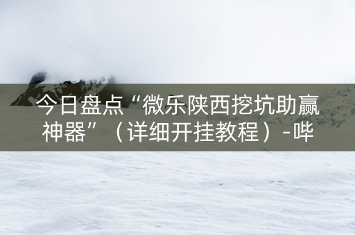 今日盘点“微乐陕西挖坑助赢神器”（详细开挂教程）-哔哩哔哩