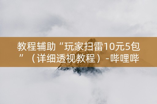 教程辅助“玩家扫雷10元5包”（详细透视教程）-哔哩哔哩