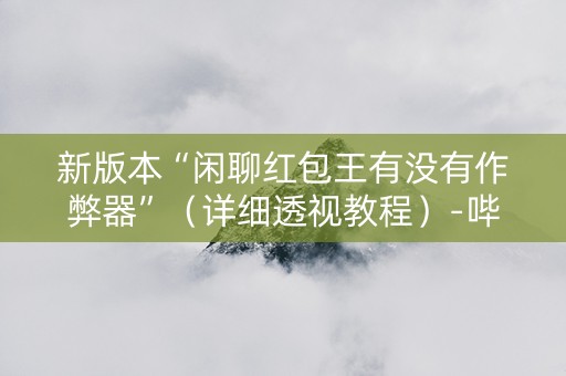 新版本“闲聊红包王有没有作弊器”（详细透视教程）-哔哩哔哩