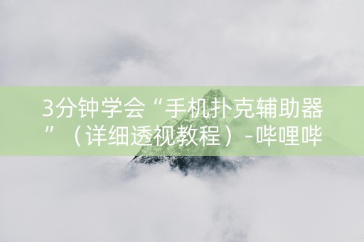 3分钟学会“手机扑克辅助器”（详细透视教程）-哔哩哔哩
