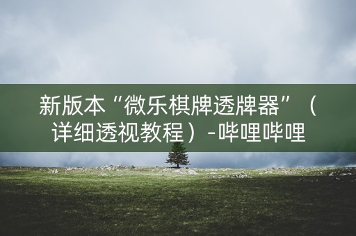 新版本“微乐棋牌透牌器”（详细透视教程）-哔哩哔哩