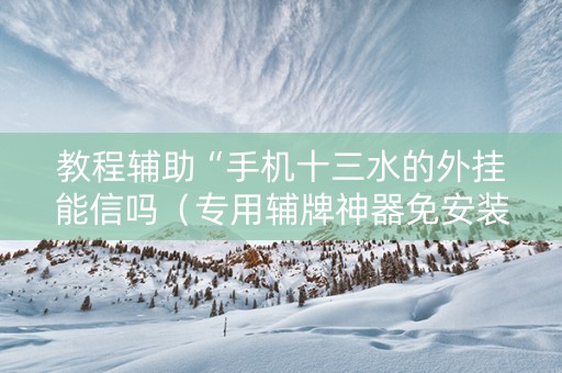 教程辅助“手机十三水的外挂能信吗（专用辅牌神器免安装）