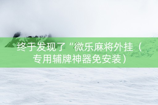 终于发现了“微乐麻将外挂（专用辅牌神器免安装）