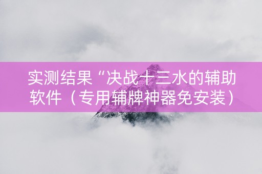 实测结果“决战十三水的辅助软件（专用辅牌神器免安装）
