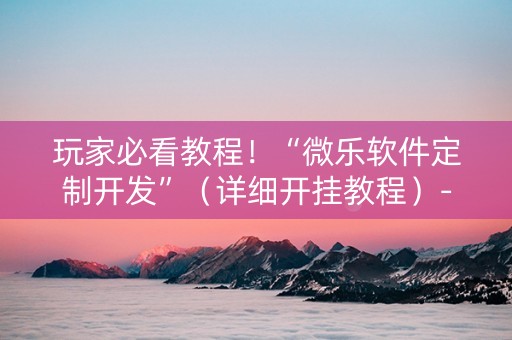 玩家必看教程！“微乐软件定制开发”（详细开挂教程）-哔哩哔哩