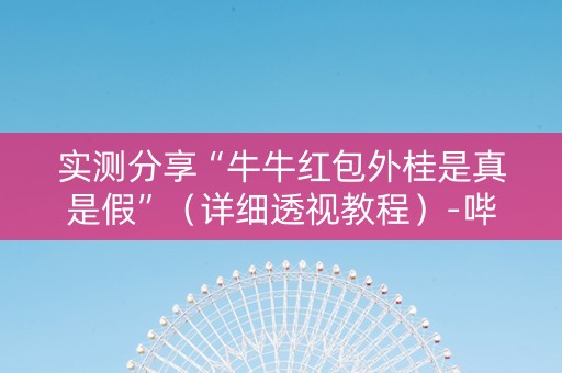 实测分享“牛牛红包外桂是真是假”（详细透视教程）-哔哩哔哩