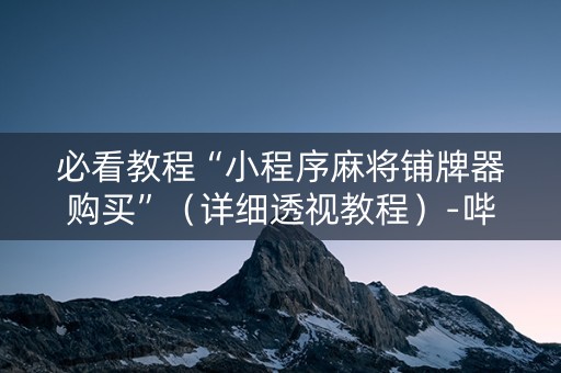 必看教程“小程序麻将铺牌器购买”（详细透视教程）-哔哩哔哩