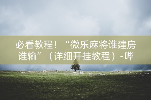 必看教程！“微乐麻将谁建房谁输”（详细开挂教程）-哔哩哔哩