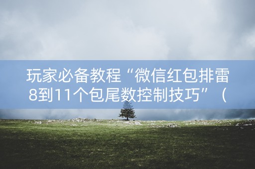 玩家必备教程“微信红包排雷8到11个包尾数控制技巧”（详细透视教程）-哔哩哔哩