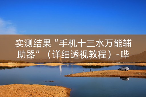 实测结果“手机十三水万能辅助器”（详细透视教程）-哔哩哔哩