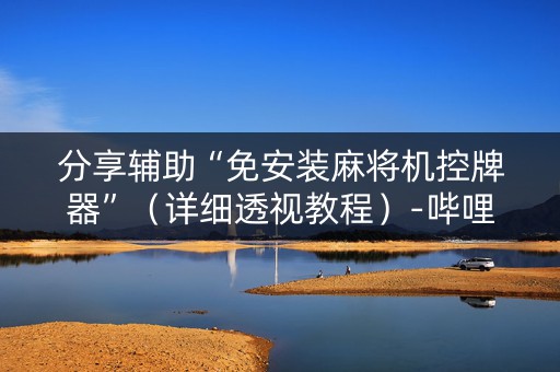 分享辅助“免安装麻将机控牌器”（详细透视教程）-哔哩哔哩