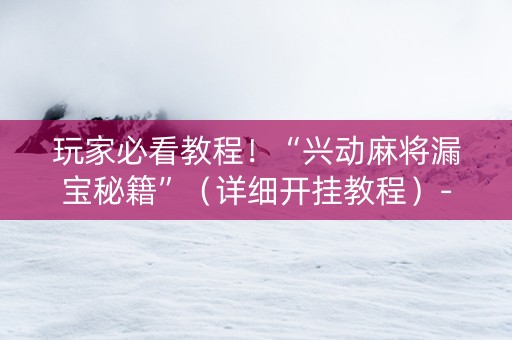 玩家必看教程！“兴动麻将漏宝秘籍”（详细开挂教程）-哔哩哔哩