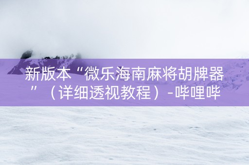 新版本“微乐海南麻将胡牌器”（详细透视教程）-哔哩哔哩