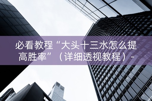必看教程“大头十三水怎么提高胜率”（详细透视教程）-哔哩哔哩